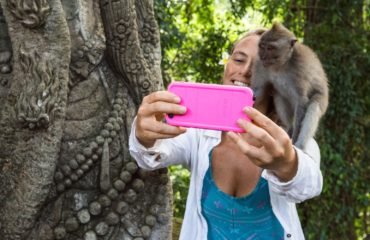 Monkey Forest, 3 Day Best of Bali Arrival Package