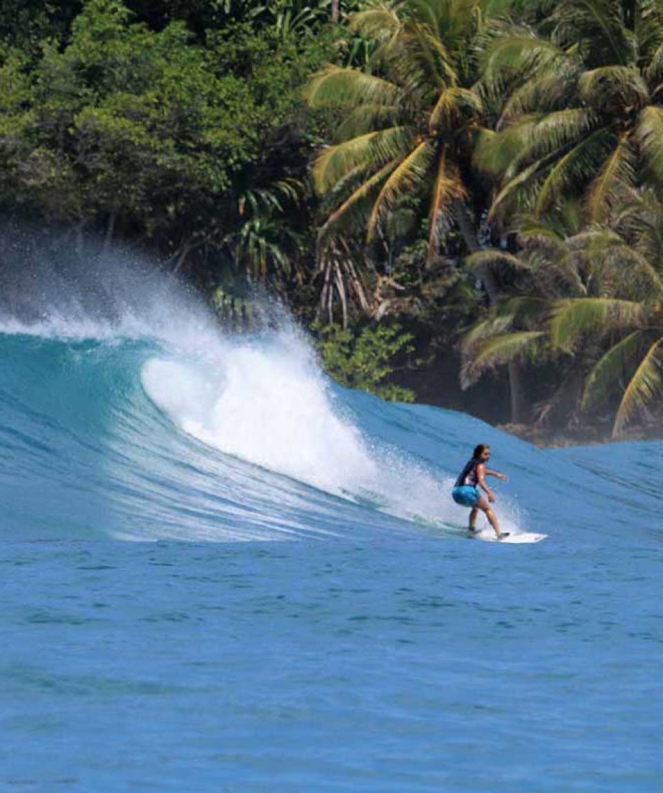 Mentawai Surf Adventures