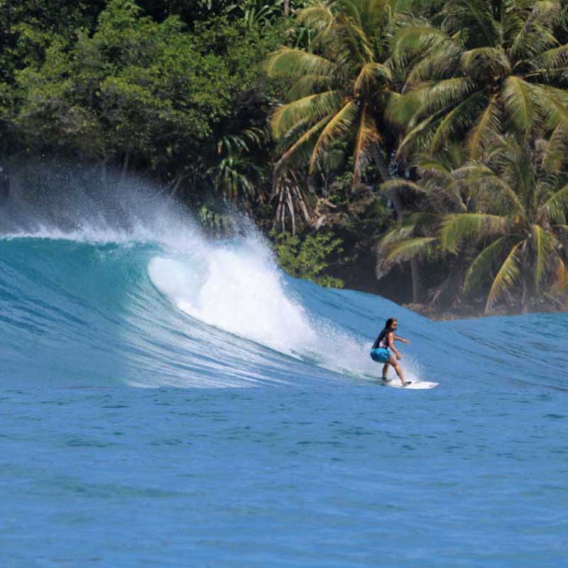 noa mizuno x mentawai