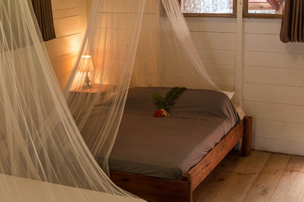 Mentawais accommodation