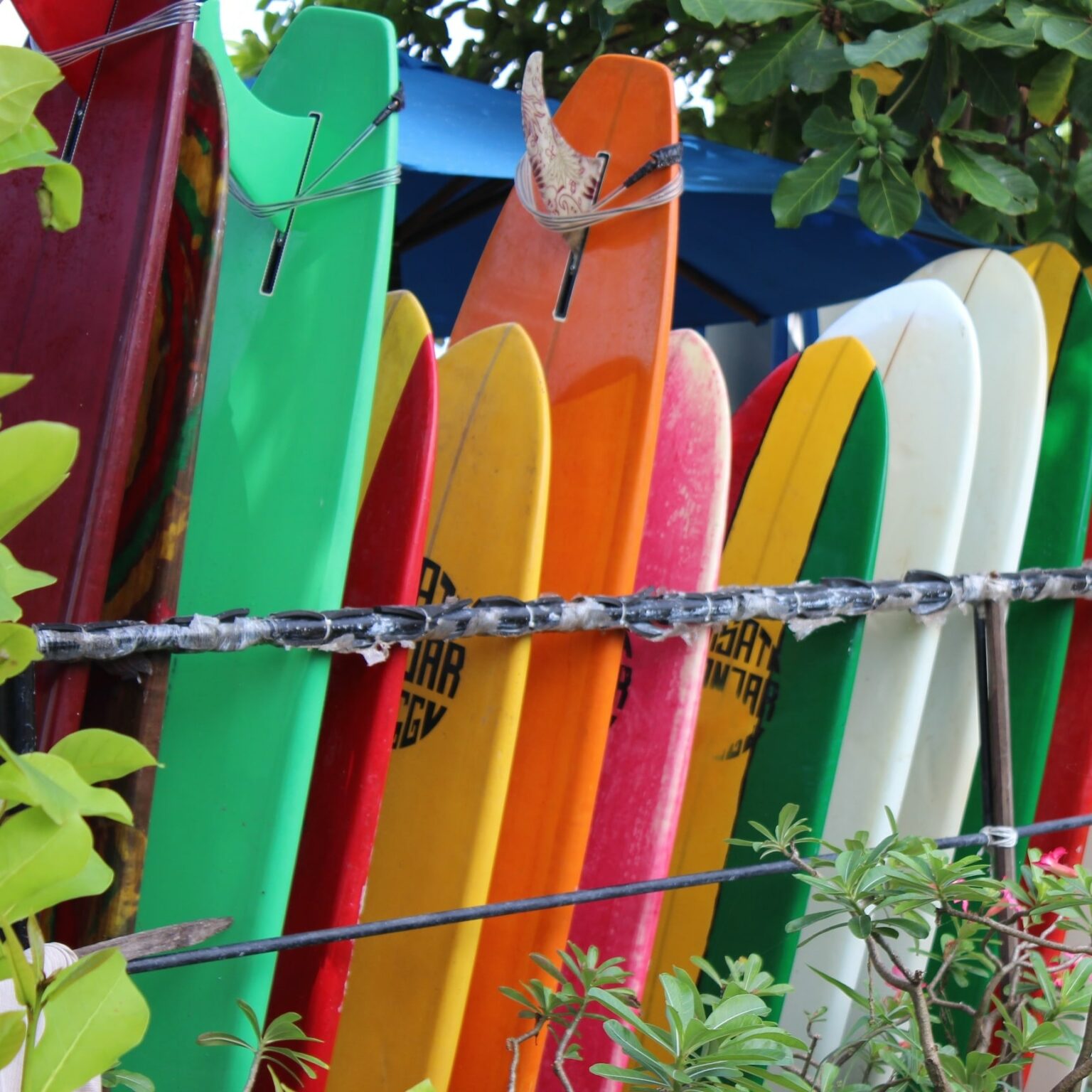 surfboards at Bali Surf School