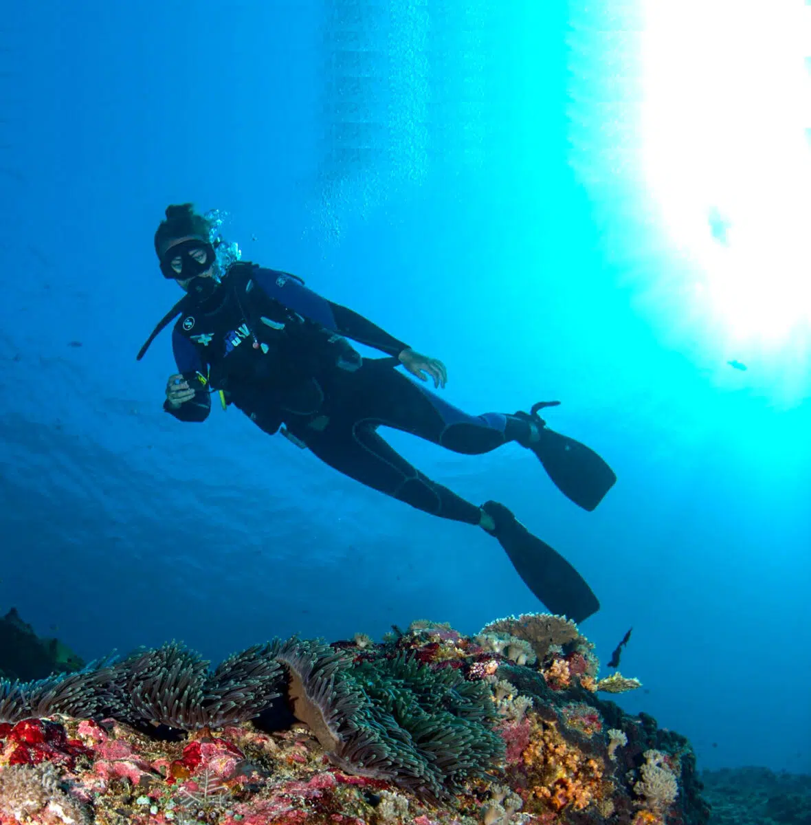 7 DAY 6 NIGHT DIVE COURSE NUSA LEMBONGAN