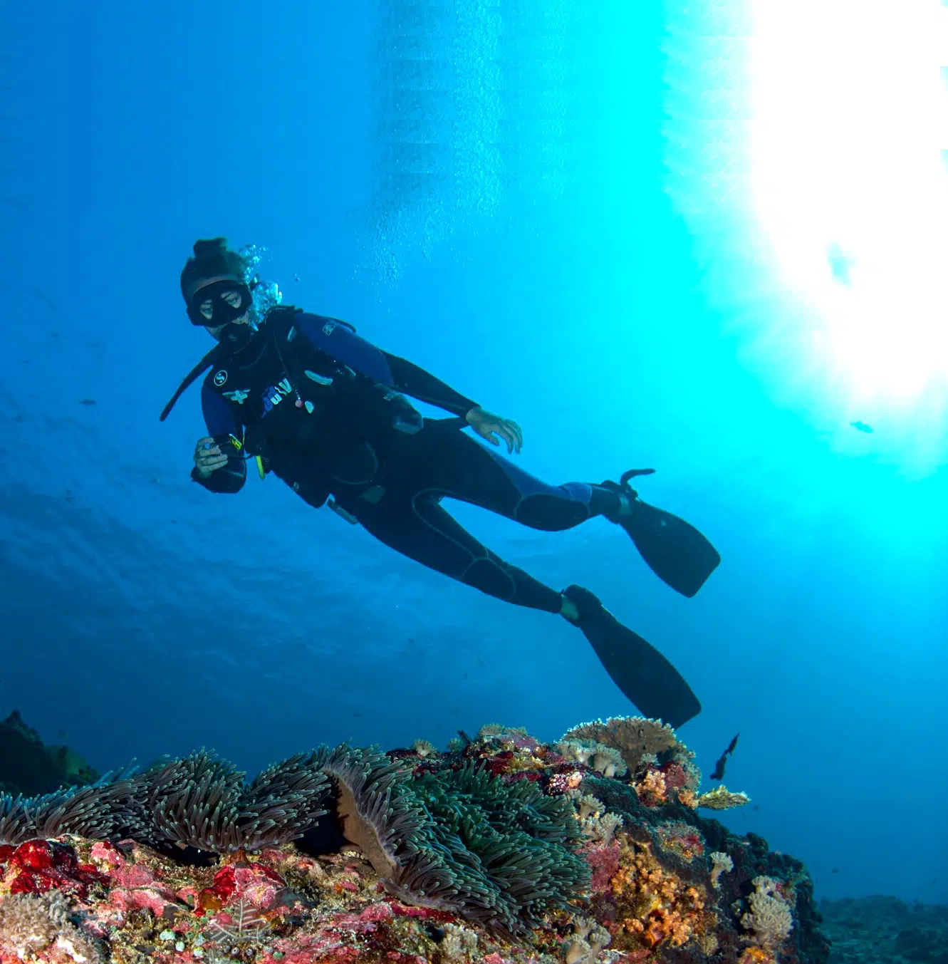 7 DAY 6 NIGHT DIVE COURSE NUSA LEMBONGAN