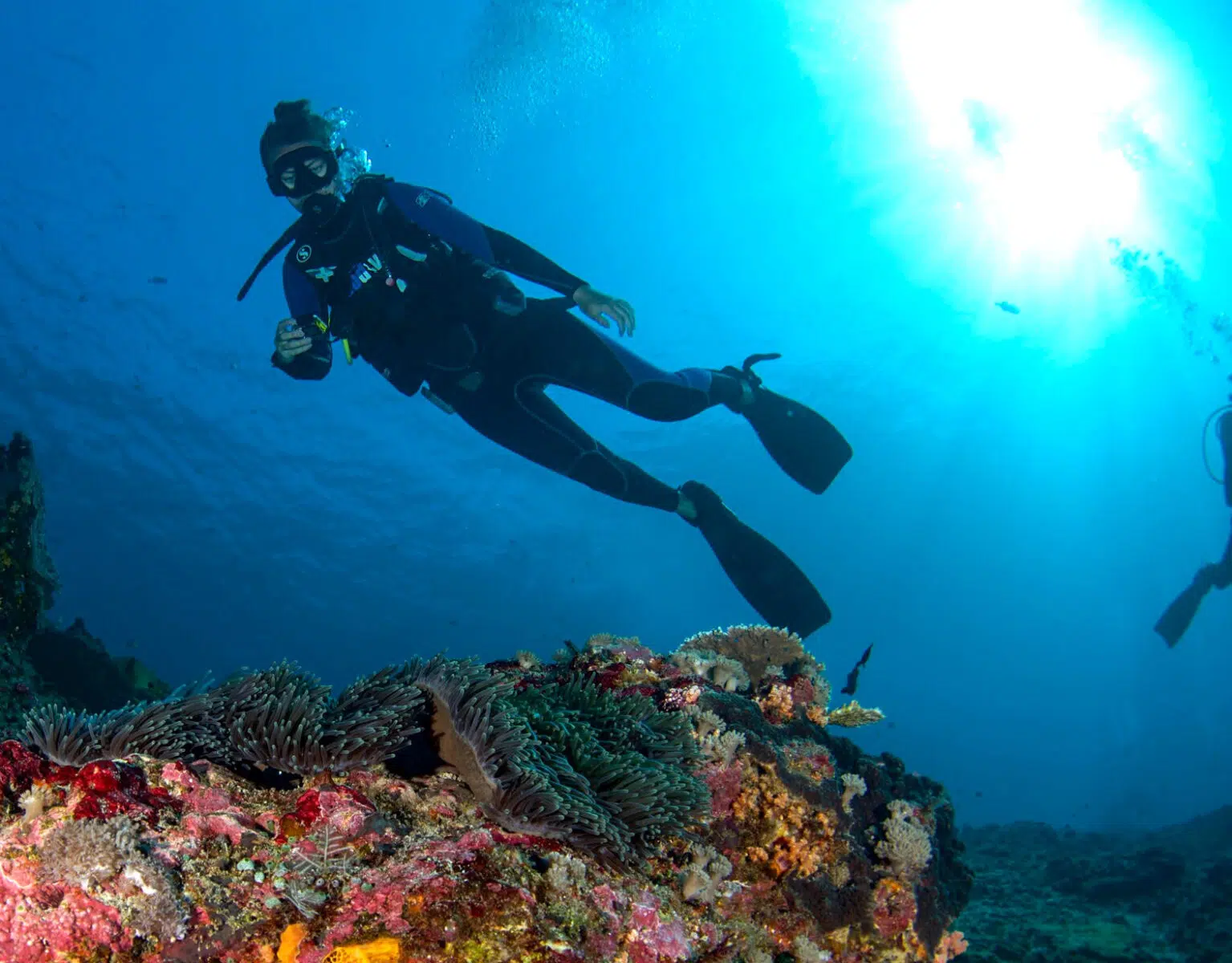 7 DAY 6 NIGHT DIVE COURSE NUSA LEMBONGAN - Image 5