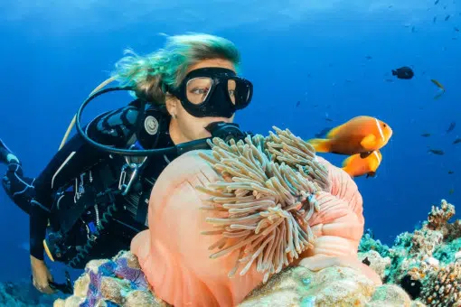 7 DAY 6 NIGHT DIVE COURSE NUSA LEMBONGAN - Image 7