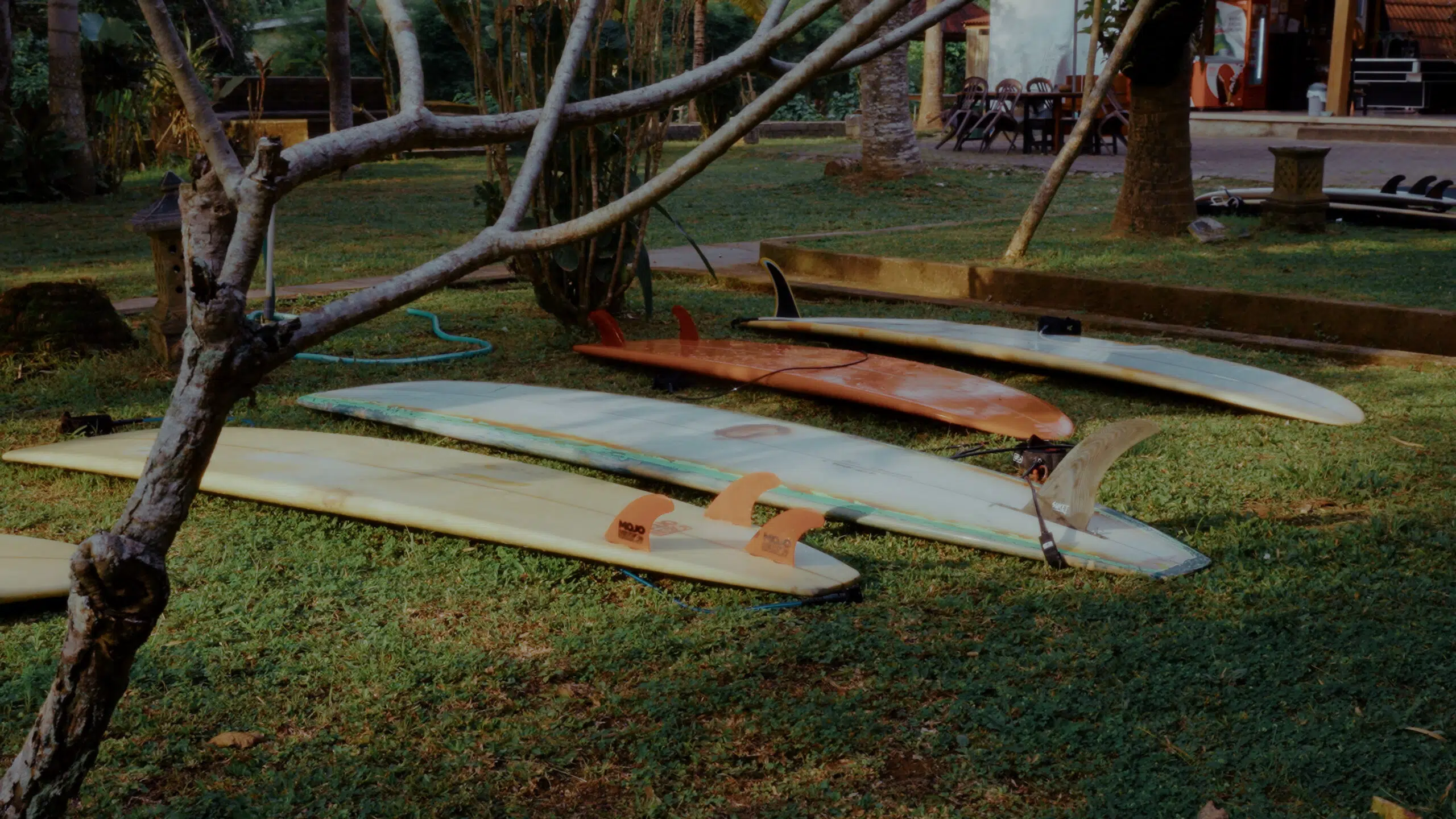 Surfboards lying on the grass at the Mojosurf camp on Red Island
