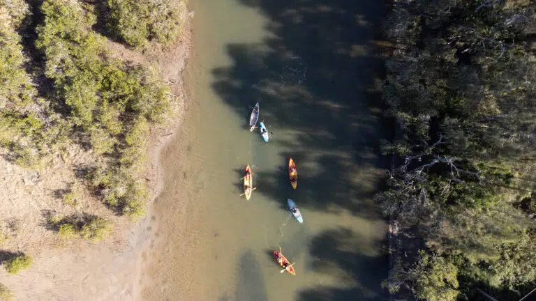 Aerial view of surfers in the water at Spot X