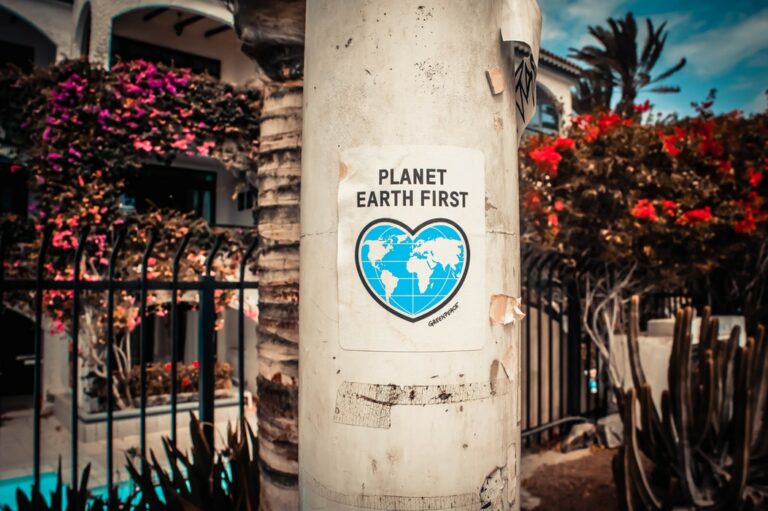 "Planet Earth First" sign on a post between flowering plants