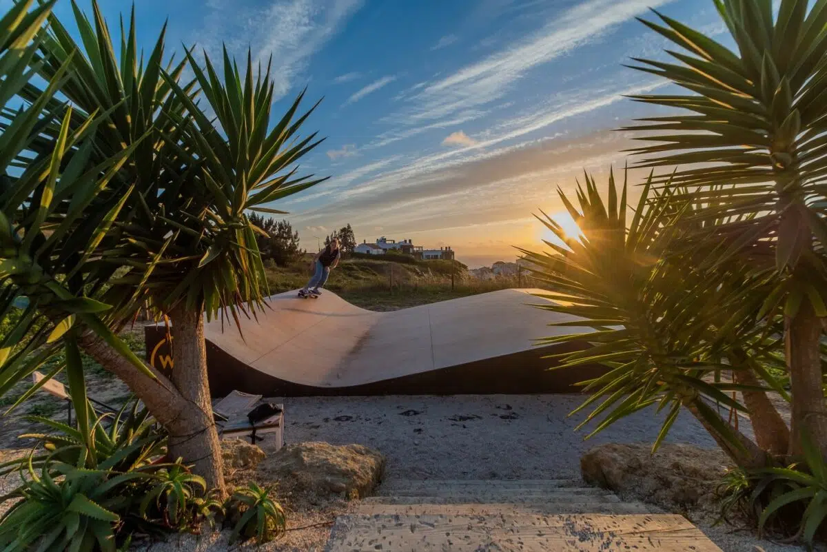 Sunset through palm trees at the Mojosurf camp in Ericeira