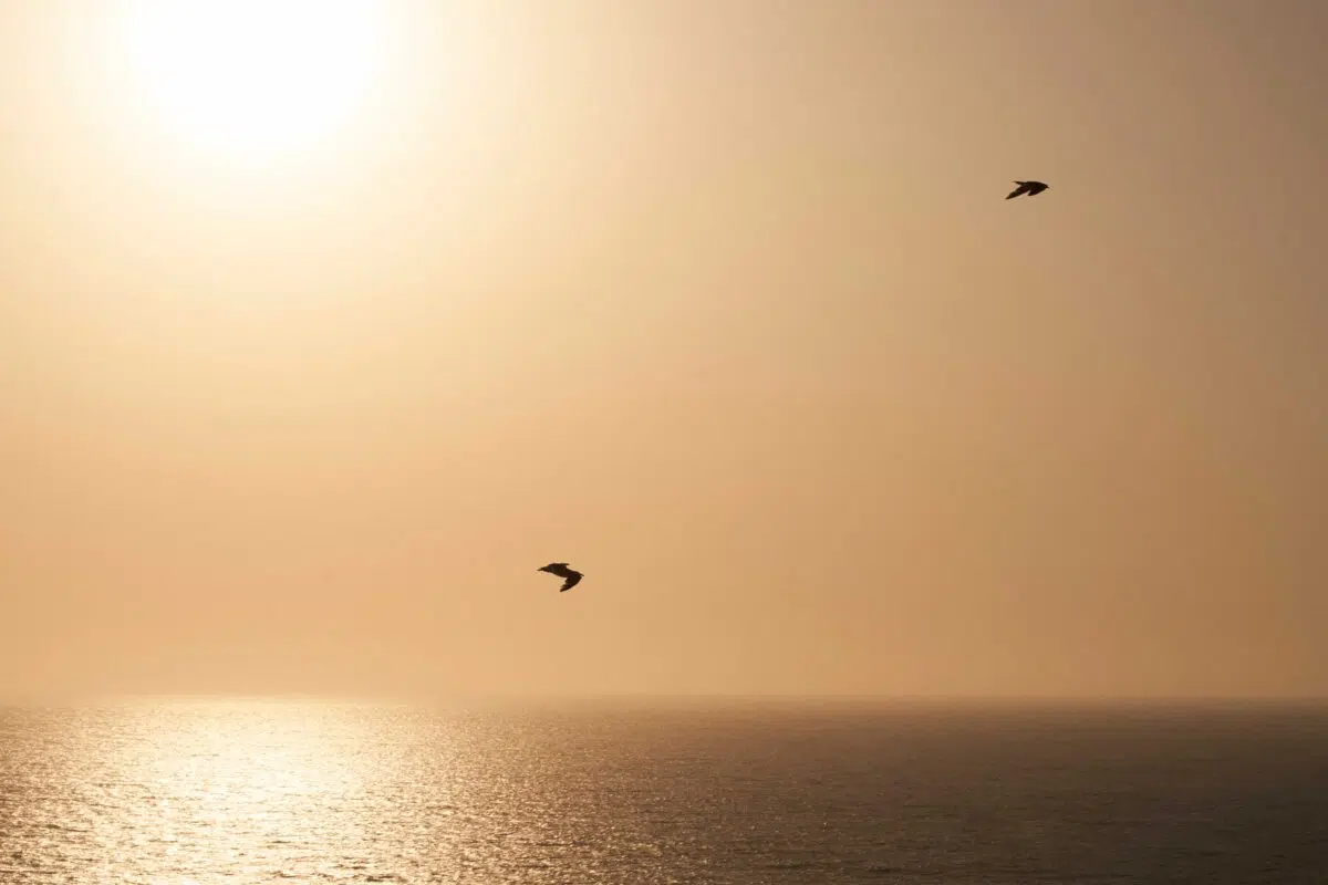 SURF & STAY ERICEIRA - Image 7